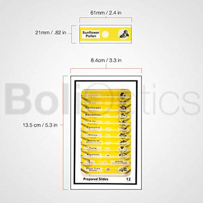 BoliOptics 12 Pcs Kids Plastic Prepared Microscope Slides Plants Sample Biology Botanical Specimen Set for Students Hobbyists Beginners Kids Homeschool, SL39901011