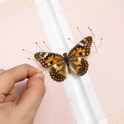 Alipis Insect Pinning Kit with Eva Foam Board, Insect Pins, Coordinate Paper, Tweezers and Scissors, Entomology Tools for Butterfly Specimen Prep, Bug Collection, Student Nature Study Supplies