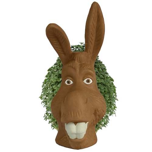 Chia Pet Shrek Donkey Terracotta Planter with Seed Pack - color: Donkey