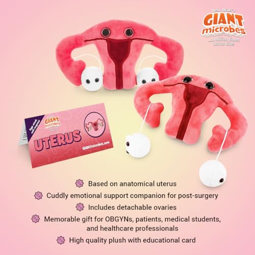GIANTmicrobes Uterus Plush -Stuffed Uterus with Magnetic Detachable Ovaries - size: Regular