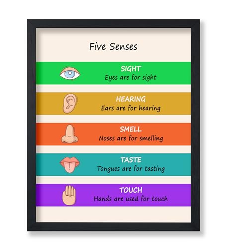 Poster Master Five Senses Poster - Senses Chart Print - Educational Art - Learning Materials Art - Gift for Students & Teachers - Decor for Library, Classroom or Playroom - 11x14 UNFRAMED Wall Art - color: Style-12, size: 11"L x 14"W