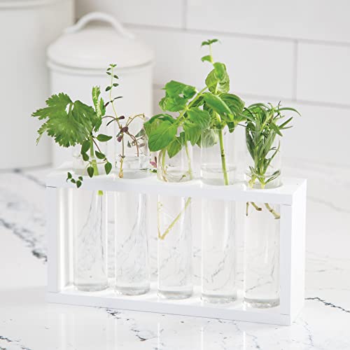 Home Grown Hydroponic Growing Kit - Tools & Instructions for No-Waste Kitchen Gardening. Ages 8 and up.