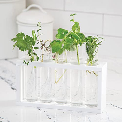 Home Grown Hydroponic Growing Kit - Tools & Instructions for No-Waste Kitchen Gardening. Ages 8 and up.