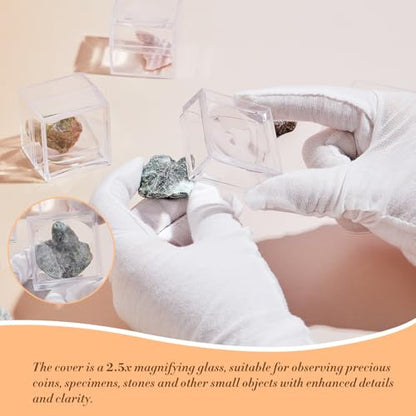 DoubleFill 10 Pack Rock Display Case Clear Rock Collection Boxes Storage