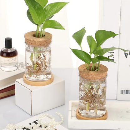 Baderke 12 Pack Propagation Vases for Plants, Classic Style - color: Classic Style