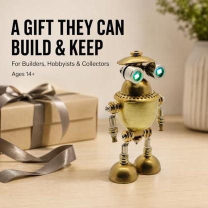 3D Metal Robot Puzzles, DIY Mechanical Model Kits for Adults, Desk Decor