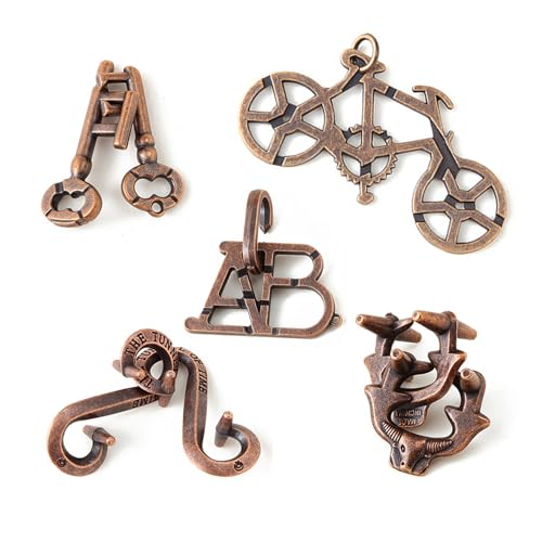 Brain Teaser Puzzles,5 Pieces Metal Cast Puzzle Games Toys for Kids and Adults IQ Test,IQ Educational Box for Teens