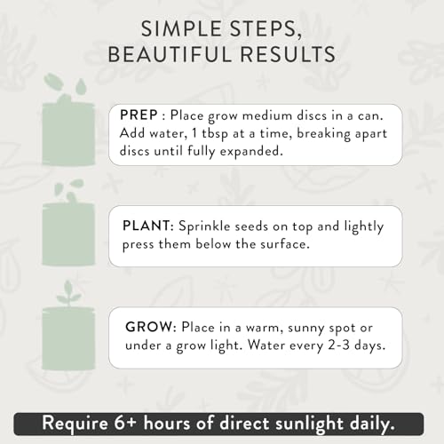 Modern Sprout Complimentary Color Grow Kits - Seed Starter Kit, Pack of 6 - size: Pack of 6