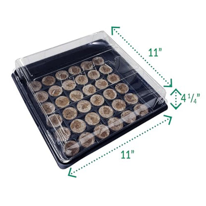 Jiffy Plant Germination Kit - Seedling Starter Trays with Seeds - 36 Cell 2 Pack - Plastic - style: 2 Greenhouse Kit and Cold Hardy Lettuce