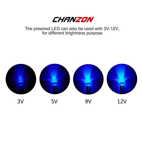 CHANZON 20 pcs Pre-Wired 5mm Blue LED Diode Lights (DC 12V) - color: E) Blue (20pcs)