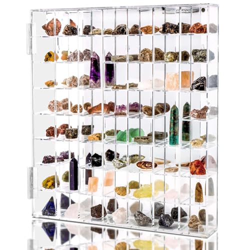 Adjustable Seashell Display Case Box Large Rock Fossil Arrowhead Case - size: Large Vertical 56-Room Display Case-New