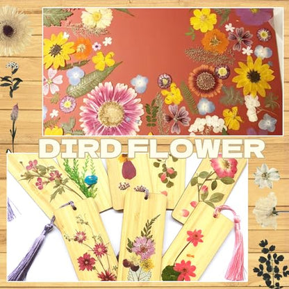 Dried Flowers for Resin - size: 80 pcs White Dried Flowers