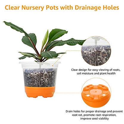 MIXC Clear Nursery Pots with Silicone Base, 4-Inch, 30-Pack - color: Orange, size: 4 Inch