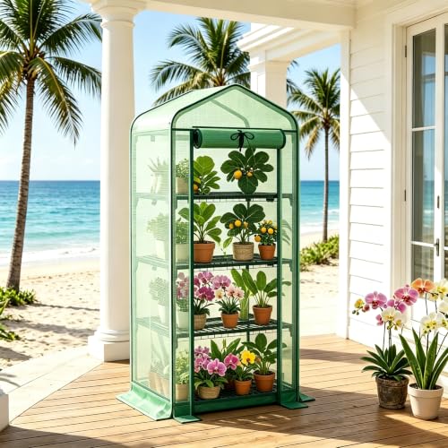 4‑Tier Mini Greenhouse, Small Walk‑in Green House, Dark Green - color: Dark Green, size: Small