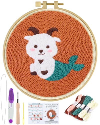 ERKOON Punch Needle Kit Beginners Adults, Zodiac Easy Embroidery Set for Starter Art Craft, Needling Punching Project with Patterns, Tools, Yarns, Hoop, Instruction (Capricorn) - color: Capricorn
