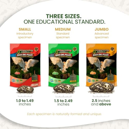 Barn Owl Pellets for Dissection, Solo Essentials Kit, Medium 1-Pack by OBDK - size: Medium (1.5 to 2.5 inches)