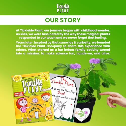 Zombie Plant Seed Packets – Grow a Live Sensitive Plant that Plays Dead When Touched! Indoor Plant Seeds & Educational STEM Activity | House Plant Seeds | Unique Garden Seeds – 2 Pack - style: Indoor Planting - 2 Pack