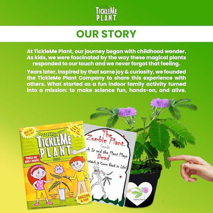 Zombie Plant Seed Packets – Grow a Live Sensitive Plant that Plays Dead When Touched! Indoor Plant Seeds & Educational STEM Activity | House Plant Seeds | Unique Garden Seeds – 2 Pack - style: Indoor Planting - 2 Pack
