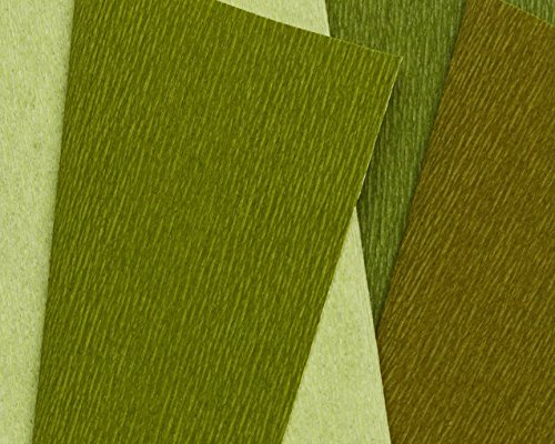 Lia Griffith Double Sided Crepe Paper Folds Roll, Green Tea and Cypress, Ferns and Moss, 6.7-Square Feet (Pack of 12) - color: Green Tea and Cypress, Ferns and Moss, size: 6.7-Square Feet (Pack of 12)