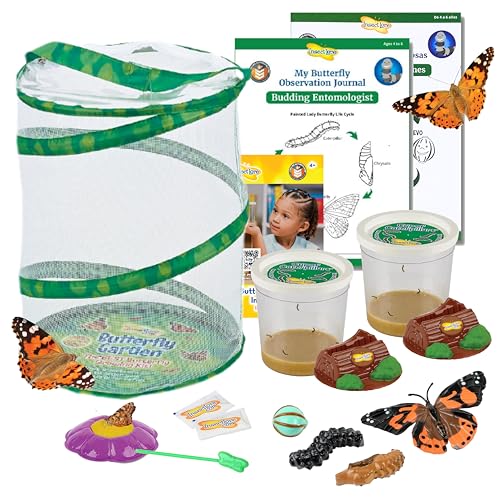 Insect Lore Butterfly Garden with Two Cups of Live Caterpillars, Life Cycle Figurines, English and Spanish Butterfly STEM Activity Journals | 10 Painted Lady Butterfly Baby Caterpillars - style: 2 Cup