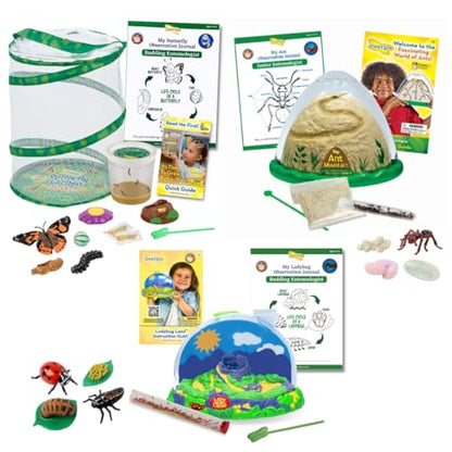 Insect Lore Bug Camp Bundle - Butterfly Kit with 5 Live Caterpillars, Ladybug Land with 1 Tube Live Larvae, Ant Mountain with 1 Tube Live Western Harvester Ants - Bonus Life Cycle Figurines & More