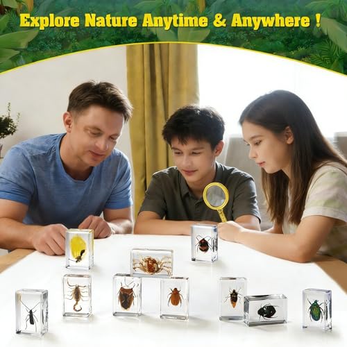 15 Real Insect Resin Specimens Set - Various Real Bug Specimens in Resin for Science Education, Classroom Biology, Bug Observation Kit with Storage Bag, Magnifying Glass & Instructions