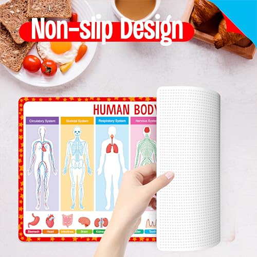 6 Pack Placemats for Kids, Non-Slip Washable, Reusable Universe, Periodic Table, US President, Human Body, Map of USA & World Educational Placemats for Home, Kindergarten, Classroom, Nursery - style: Education-A