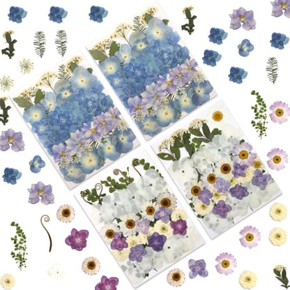 LUXEEASE 140P Hydrangea Dried Pressed Flowers - color: Hydrangea 140p