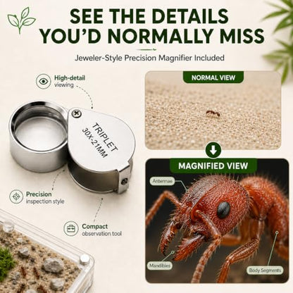 StackCore Stackable Series - White Hybrid (Tube-and-Flat Ant Nest) with Starter Tool Kit - size: White Hybrid