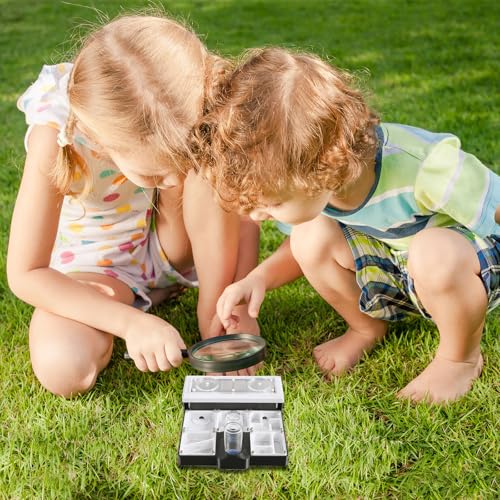 Ant Farm Nest - Educational Habitat - Black and White Acrylic Design with Built-in Water Tower and Clear Observation Area (L) - size: L