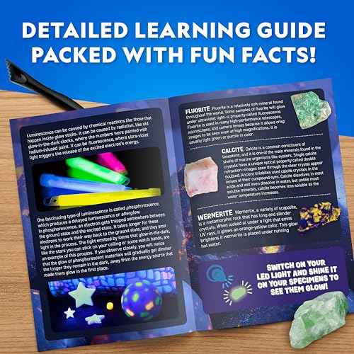 National Geographic Glow-in-the-Dark Rock and Dinosaur Dig Kit for Kids - style: Glow-in-the-Dark Dig Brick