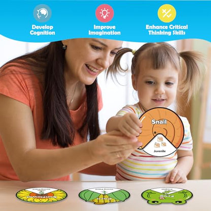 Kasfalci Life Cycle Toys for Kids,Back to School Supplies,Animal Plant Insect Bug Ladybug Butterfly Tadpole to Frog Kit,Montessori Learning & Education Toys,Preschool Science Learning Activities - style: Life Cycle