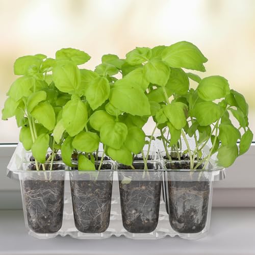 MIXC 10 Pack Seed Starter Tray, 120-Cell Stater Kit with Humidity Dome - color: Transparent, size: 12 Cell-10 Packs-Clear Cover