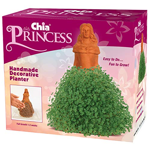 Chia Pet Princess with Seed Pack, Decorative Pottery Planter, Easy to Do and Fun to Grow, Novelty Gift, Perfect for Any Occasion - style: Princess