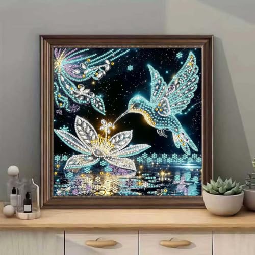 Hummingbird Diamond Art Painting Kits 5D Special Shape 12 x 12 inch - color: SH170