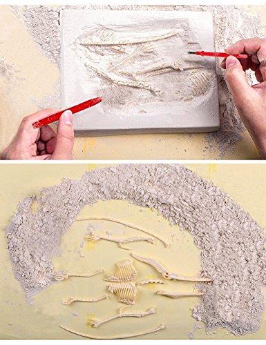 Dinosaur Excavation Kits for Kids,Dino Dig Kits T-Rex,Triceratops and Diplodocus,Dinosaur Fossil Excavation Kits,Children's Popular Science Education Toys - Dinosaur DIY Toys（Three-piece Suit）