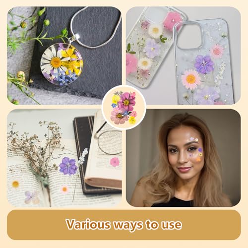 Dried Pressed Flowers Real Pressed Flowers Natural Dry Leaves Bulk Mixed Colorful Herbs Kit with Tweezers for Scrapbooking DIY Candle Jewelry Crafts Making Nails - color: Vivid Color