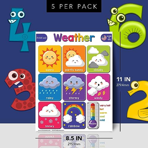 FoldCard Weather Chart Educational Poster 8.5x11 5pk - color: Weather and Temperature