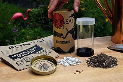 Bonsai Tree | Rocky Mountain Juniper | Seed Grow Kit | The Jonsteen Company