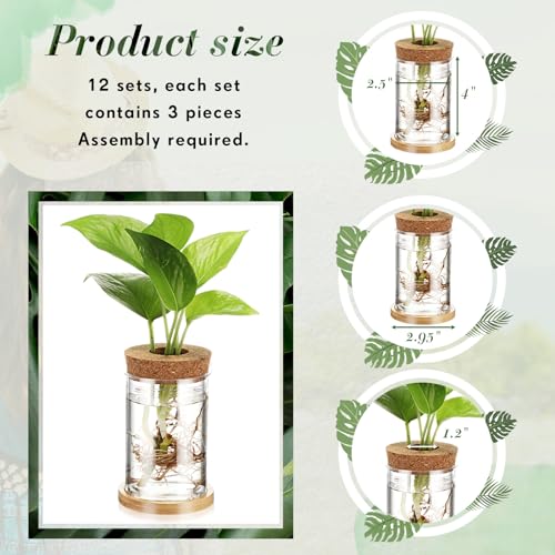 Baderke 12 Pack Propagation Vases for Plants, Classic Style - color: Classic Style