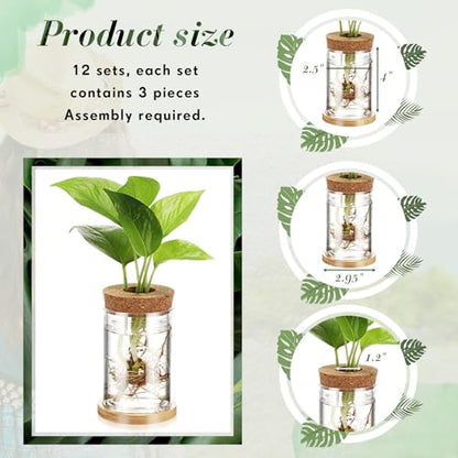 Baderke 12 Pack Propagation Vases for Plants, Classic Style - color: Classic Style