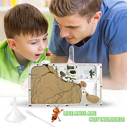 ELNMLHT Ant Farm Castle, Ant Farms with Yellow Sand and Tool Kit, Ant Colony Observation Kit, Ant Viewing Habitat Science Kit, Educational & Learning Science Kit for Kids, Adults, Student (Ant Farm B) - color: Ant Farm B
