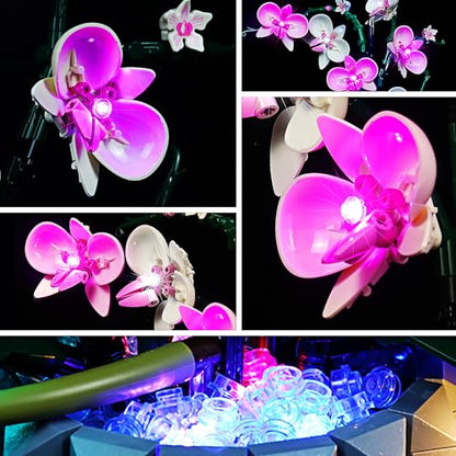 Upgraded LED Lighting Compatible with Lego Orchid 10311, Music Version Light Kit Compatible with Lego 10311 Plant Decor, Giving Light to Model, NOT Included The Model