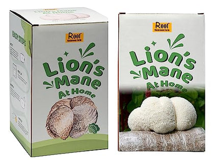 Two Lion's Mane Grow Kits (3.2 Pound Each) - style: Two Kits