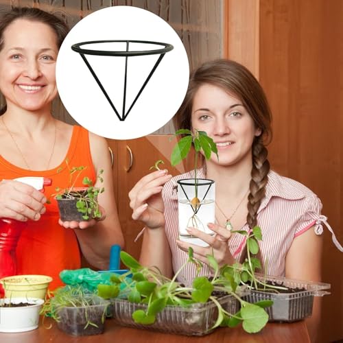 Avocado Growing Holder, Triangular Plant Propagation Bracket, Avocado Root Propagation Rack, for Home Landscape Garden Living Room Bedroom Balcony Backyard Patio Greenhouse - color: Black