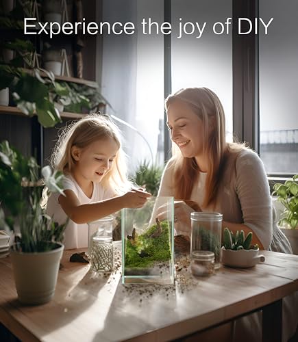 27 PCS Glass Plant Terrarium Kit with LED Grow Light– DIY Moss Terrarium Kit for Adults, Mini Garden Set for Succulent, Real Live Moss, and Air Plants – Home Office Decoration & Unique Gift fo Friend - size: Tall Cube Set