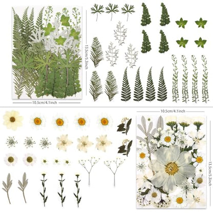 LUXEEASE 100P White Foliage Mix Dried Pressed Flowers - color: Pure White 100p