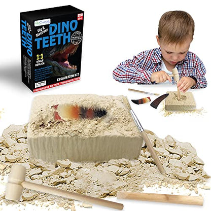 ArtCreativity Dinosaur Dig Kit, T-Rex & Tarbosaurus Fossil Teeth 2-Pack