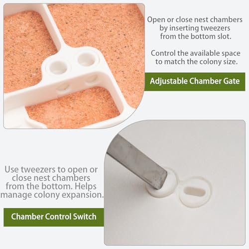 StackCore Stackable Series - White Habitat Combo (Flat Ant Nest) with Starter Tool Kit - size: White Habitat Combo