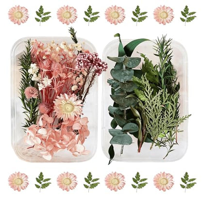 2PCS Dried Flowers Kit, Natural Dried Flowers Kit for DIY Crafts, Scrapbook, Card Making (Stye2_13) - color: Stye2_13